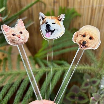 Cocktail Tags and Stirrers